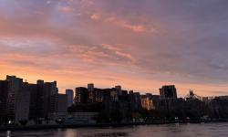 Featured image of post all it matters is survival